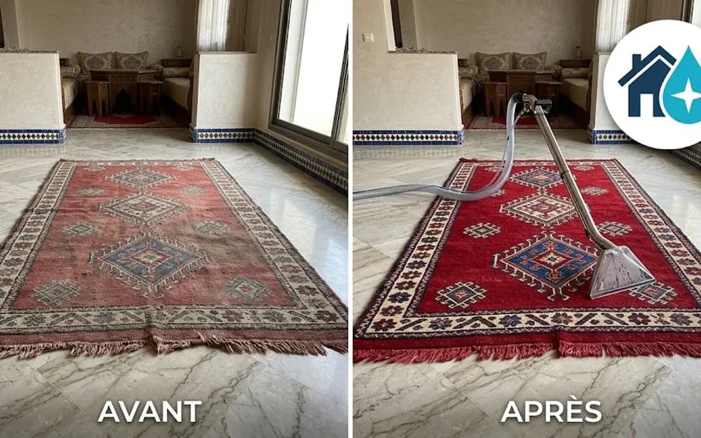 Illustration : Nettoyage en profondeur des allées de circulation en moquette dans des locaux pros